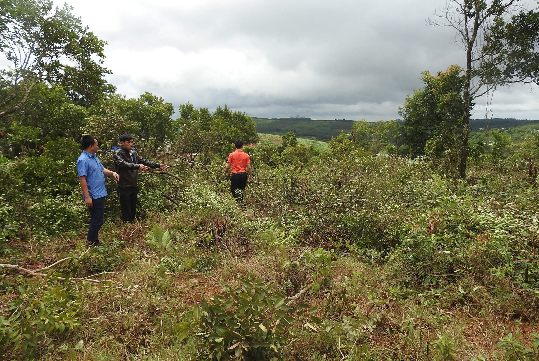 'Diem mat' can bo cung nguoi than so huu dat quoc phong hinh anh