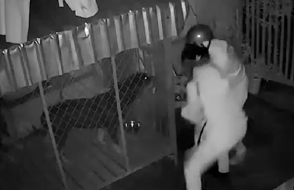 Hai thanh nien be khoa trom cho quy hinh anh