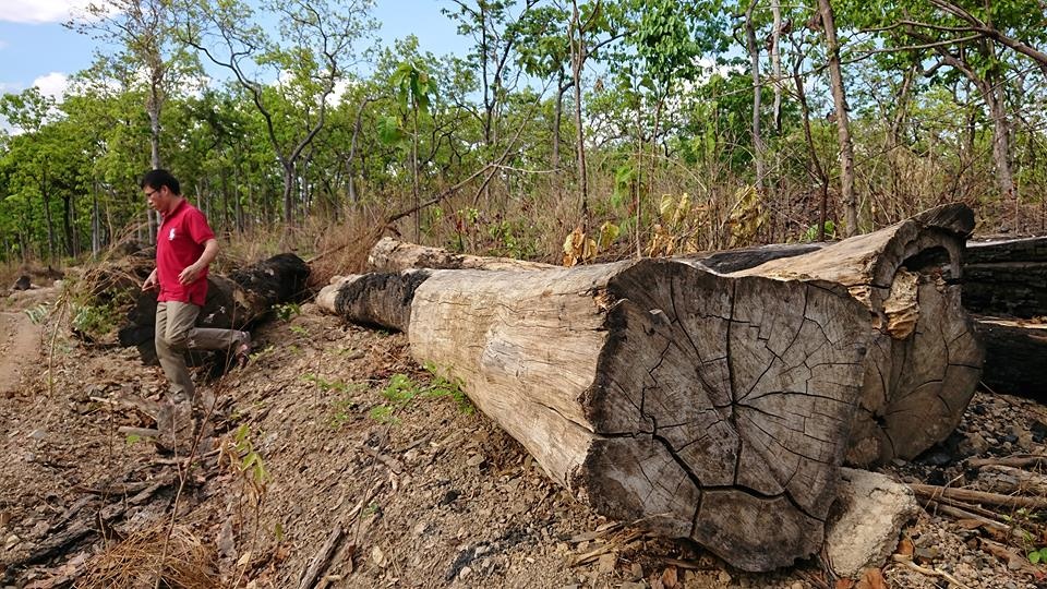 Ky luat can bo de buon go lau anh 2