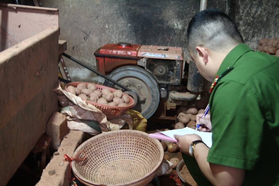 Tron dat vao khoai tay Trung Quoc de gia hang Da Lat hinh anh