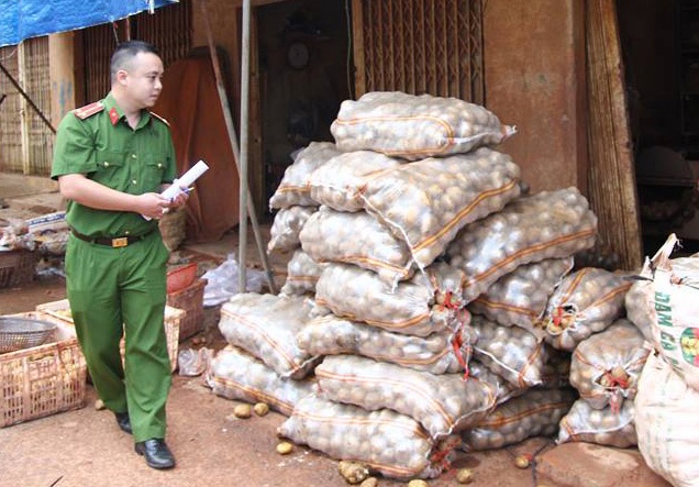 4 tan khoai tay Trung Quoc gia hang Da Lat chuan bi xuat di TP.HCM hinh anh