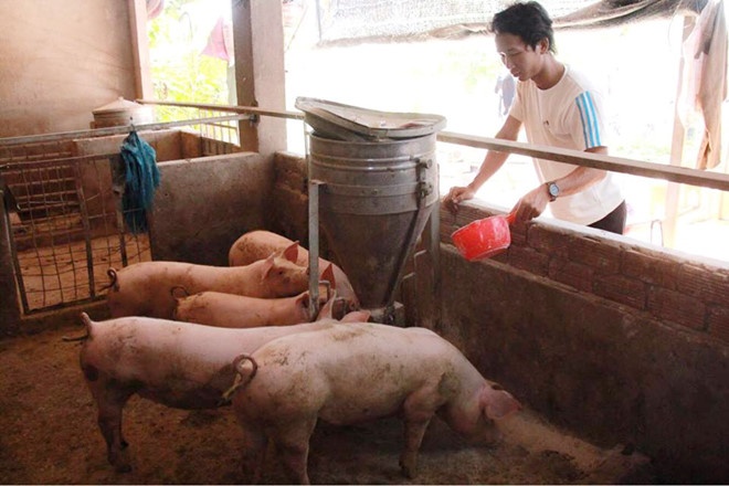 Toa chuyen ho so sang cong an dieu tra vu 5 giao vien kien truong hinh anh