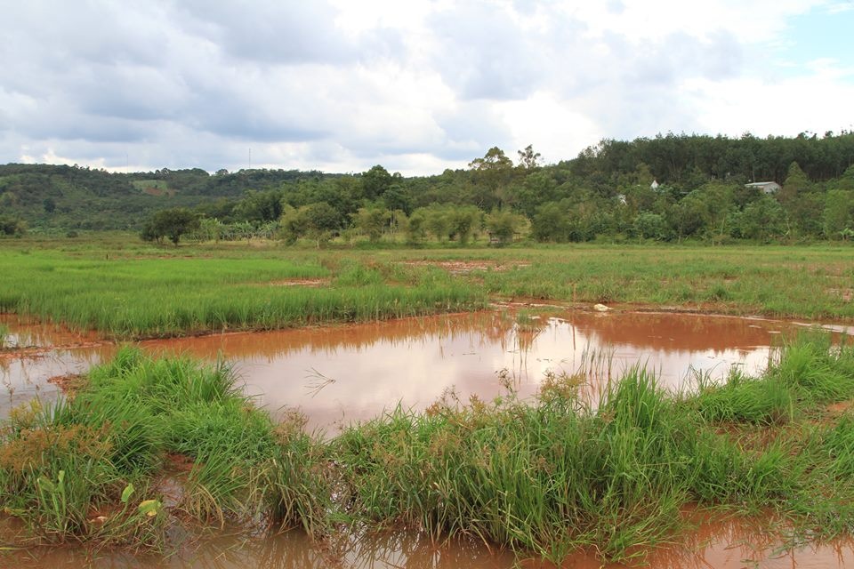 Bun do nha may tran ra suoi anh 2