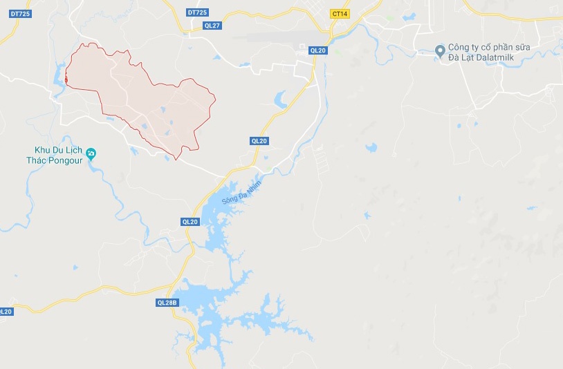 Đạn găm vào bụng người làm vườn ảnh 2 Dan gam vao bung nguoi lam vuon anh 2