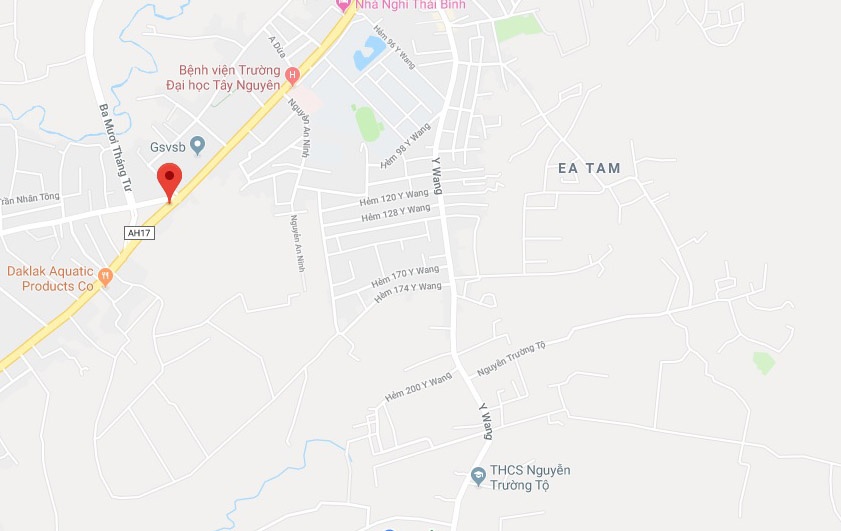 Oto dang chay boc chay anh 2