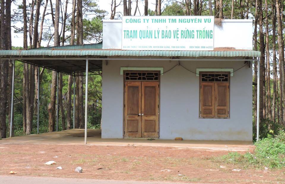Công ty Nguyên Vũ để mất rừng ảnh 1 Cong ty Nguyen Vu de mat rung anh 1