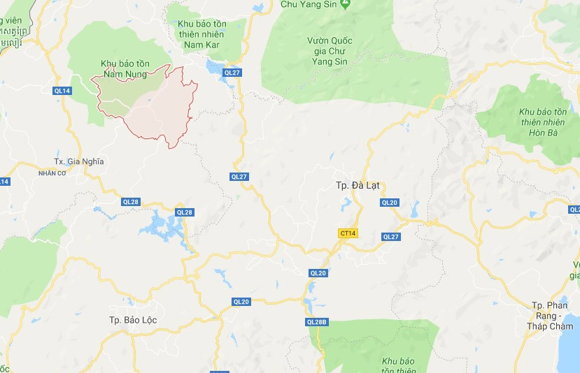 Công ty Nguyên Vũ để mất rừng ảnh 3 Cong ty Nguyen Vu de mat rung anh 3