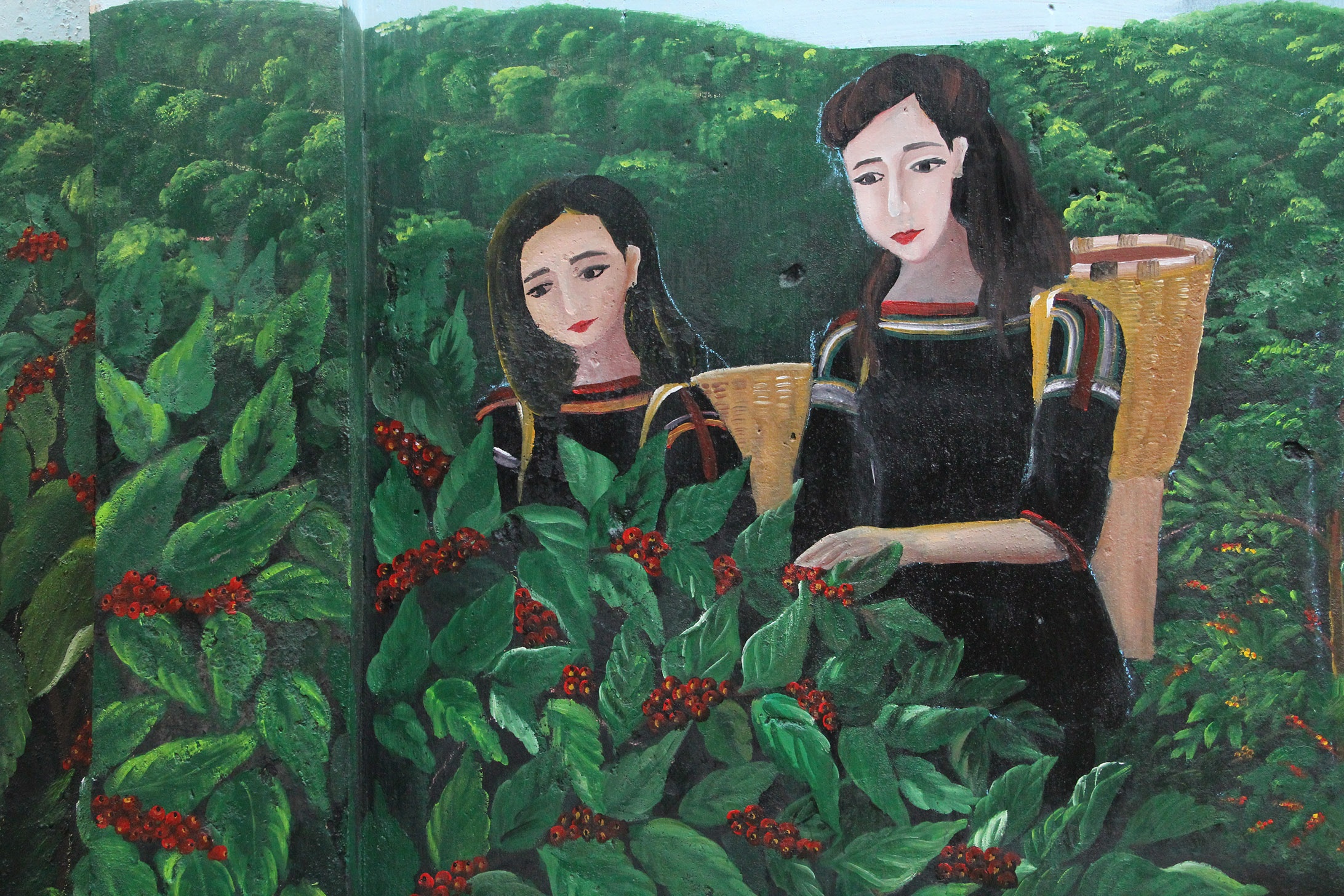 Duong bich hoa o Dak Lak anh 9