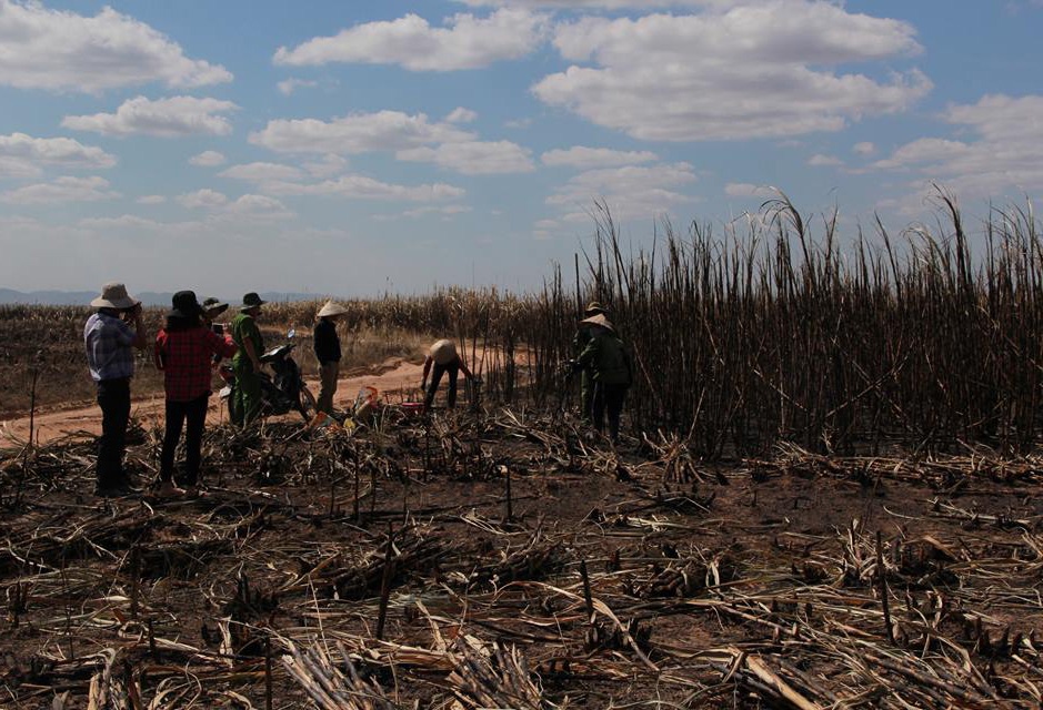 Hang tram ha mia bi chay anh 1
