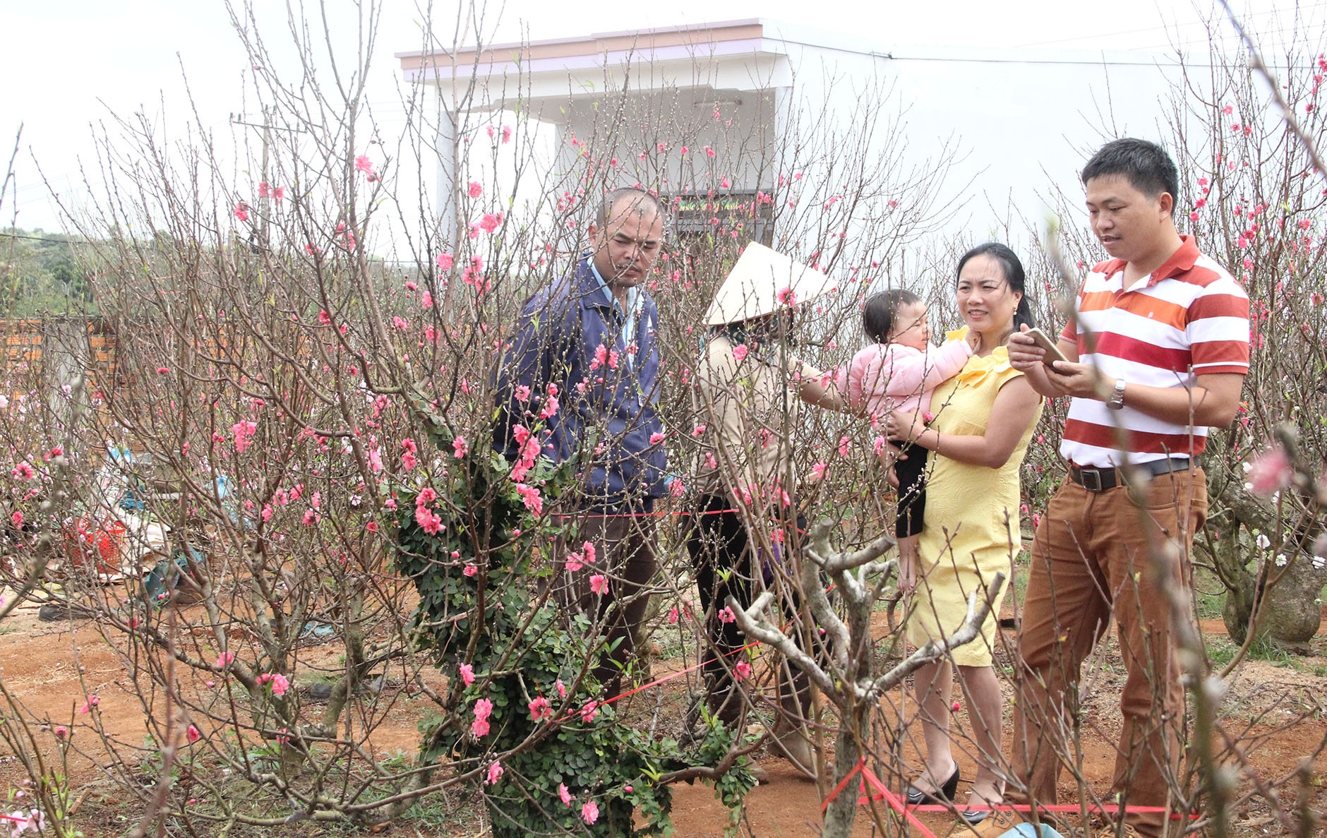 Lang dao Nhat Tan o Tay Nguyen anh 8