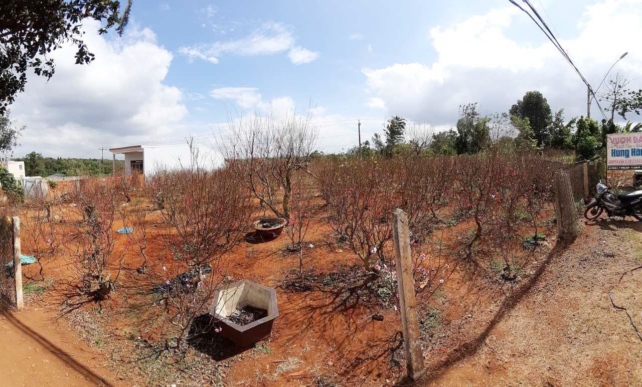 Lang dao Nhat Tan o Tay Nguyen anh 10