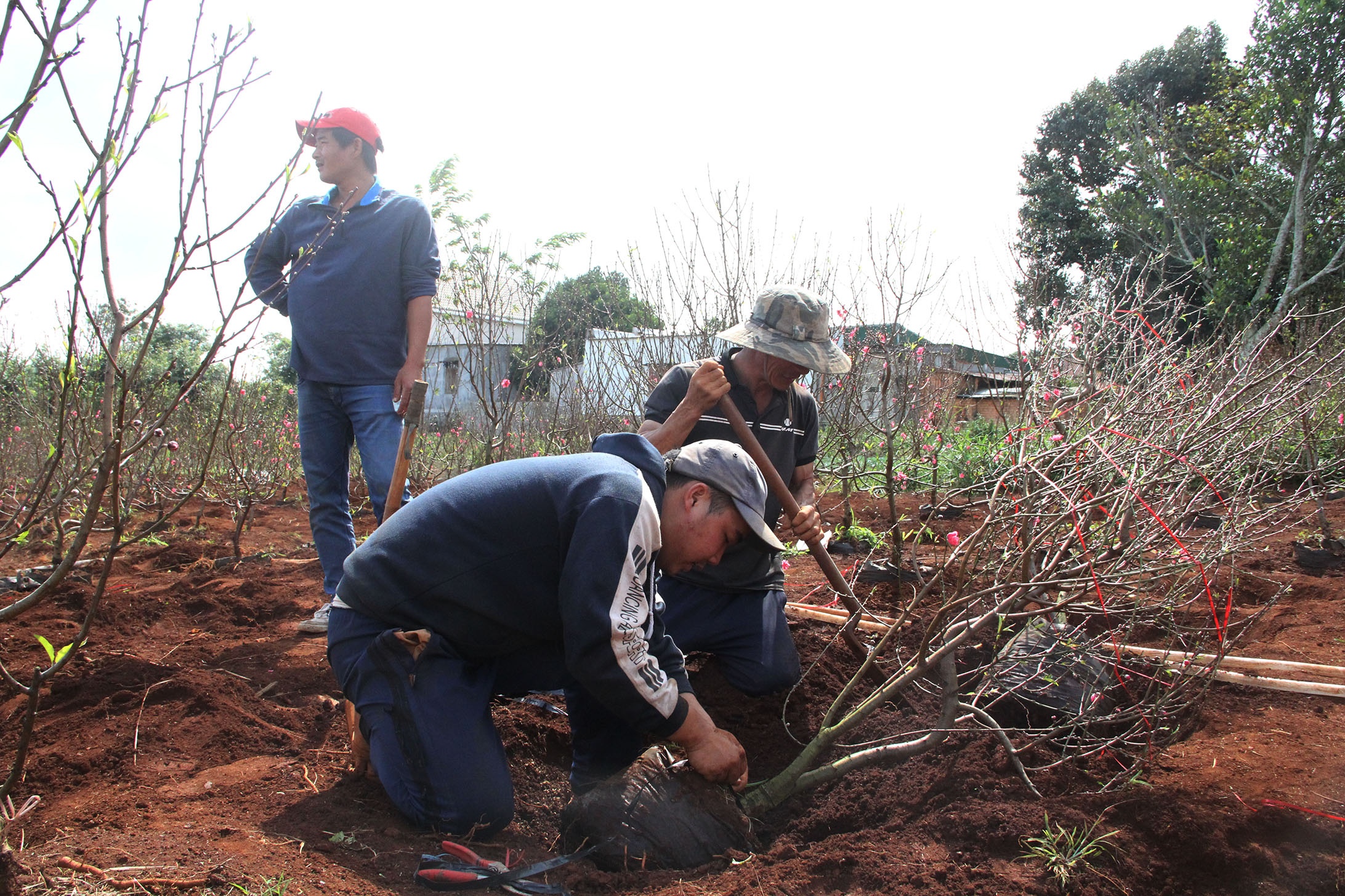 Lang dao Nhat Tan o Tay Nguyen anh 2