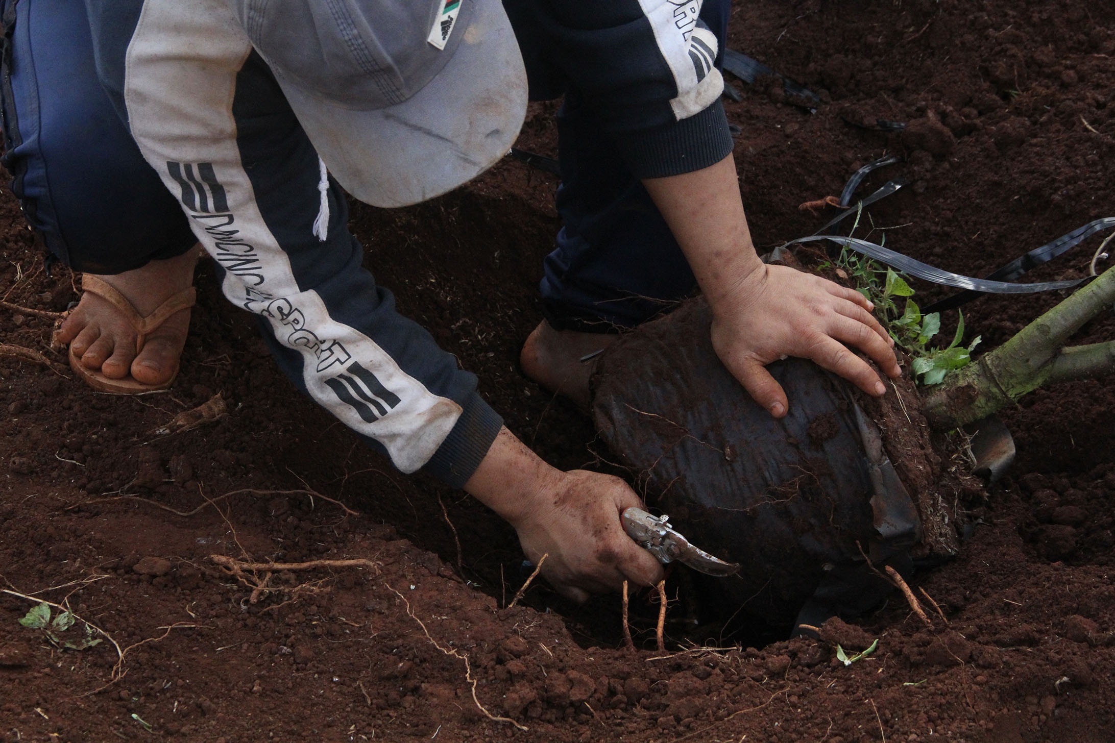 Lang dao Nhat Tan o Tay Nguyen anh 3
