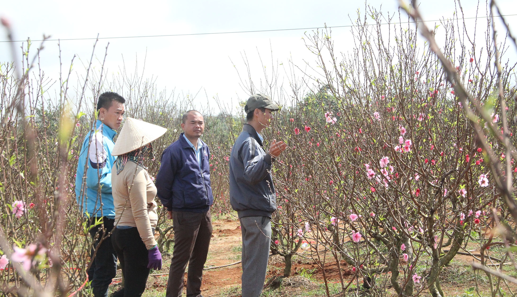 Lang dao Nhat Tan o Tay Nguyen anh 7