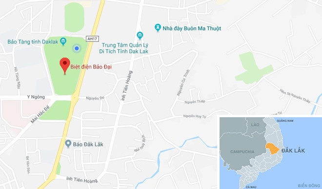 Cay long nao hon 100 tuoi anh 11