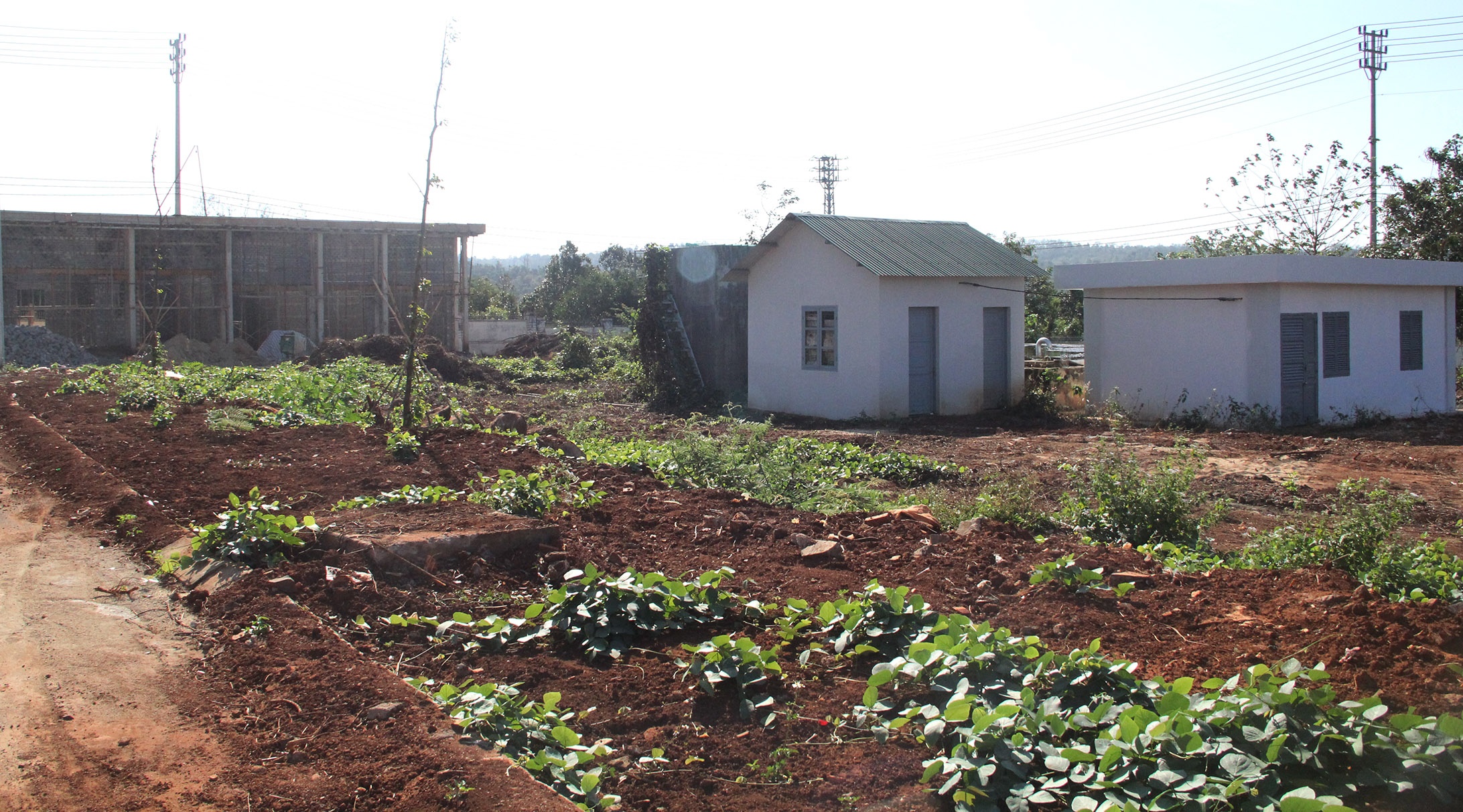 Bệnh viện nghìn tỷ ở Tây Nguyên ảnh 5 Benh vien nghin ty o Tay Nguyen anh 5