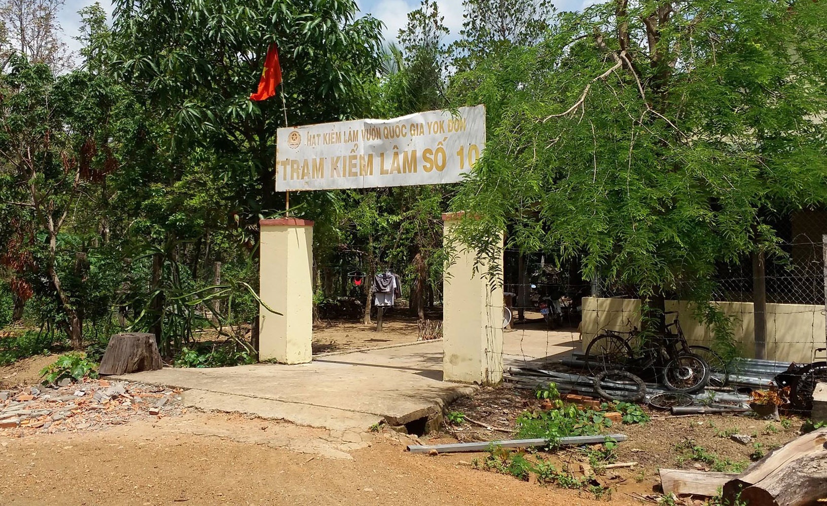 Phượng râu  ảnh 1 Phuong rau anh 1