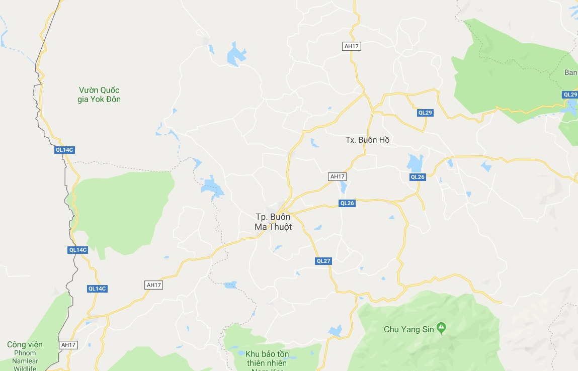 Phượng râu  ảnh 2 Phuong rau anh 2