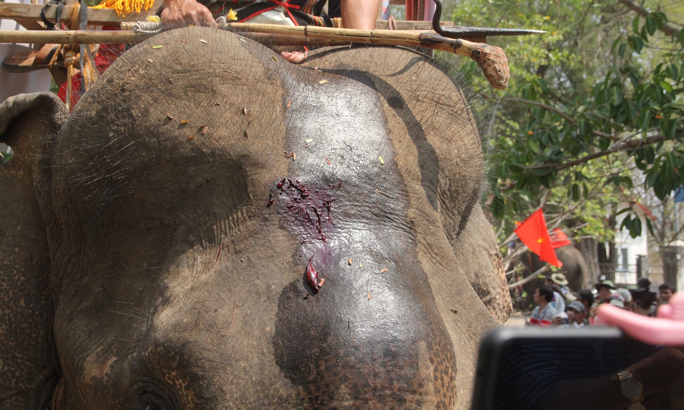 Lễ cúng bến nước ảnh 11 Le cung ben nuoc anh 11