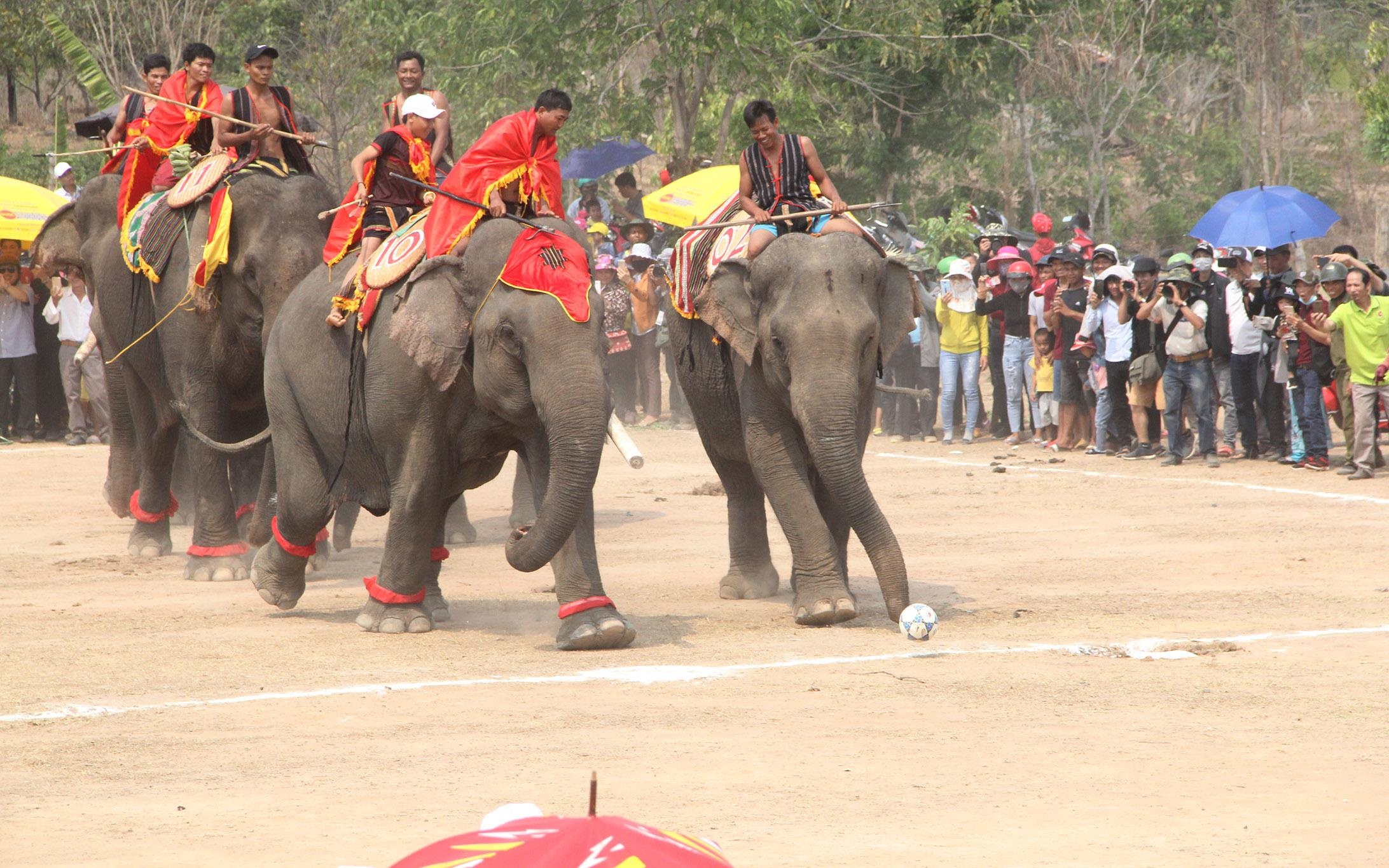 Hội đua voi ở Buôn Đôn ảnh 10 Hoi dua voi o Buon Don anh 10