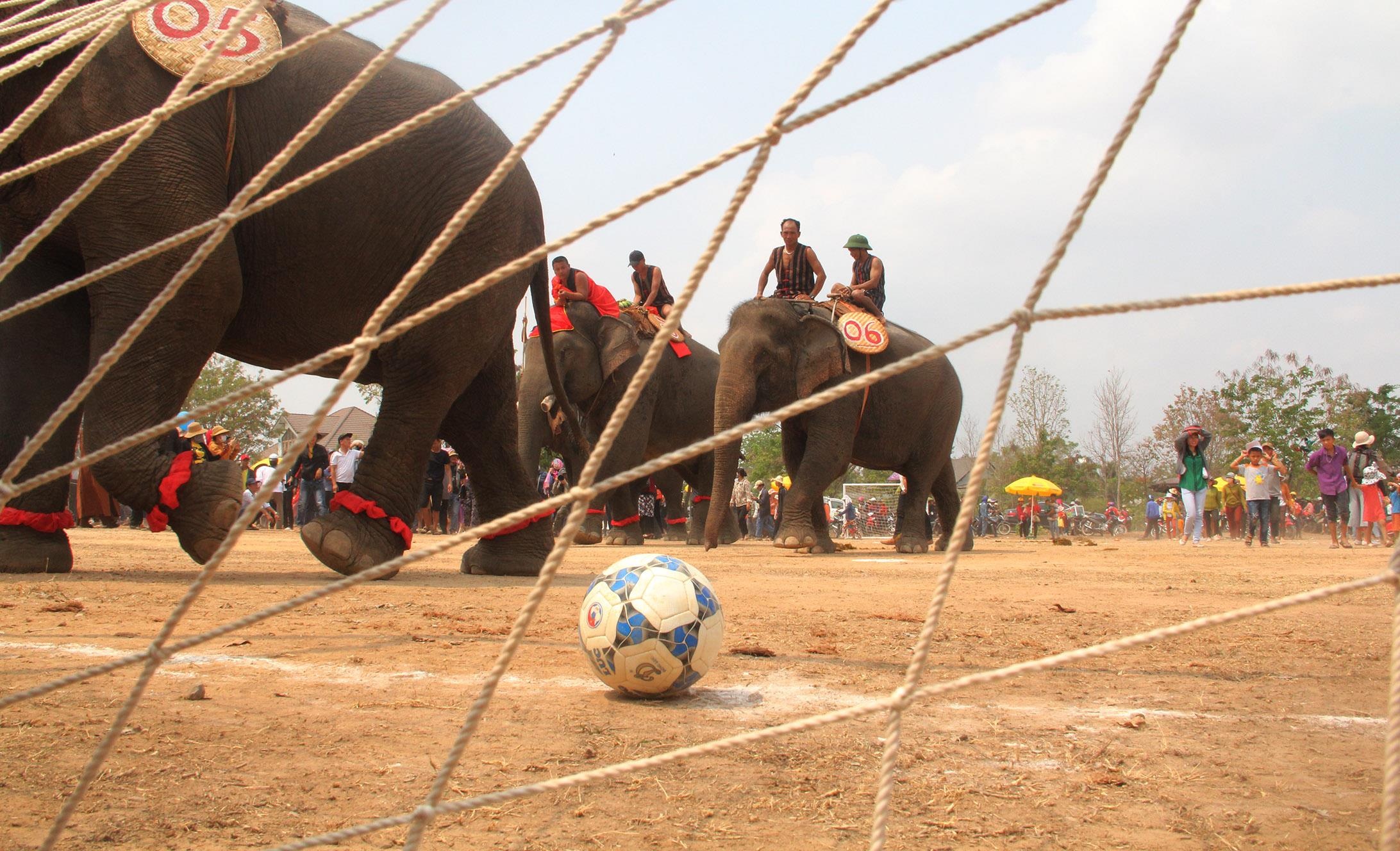 Hội đua voi ở Buôn Đôn ảnh 11 Hoi dua voi o Buon Don anh 11