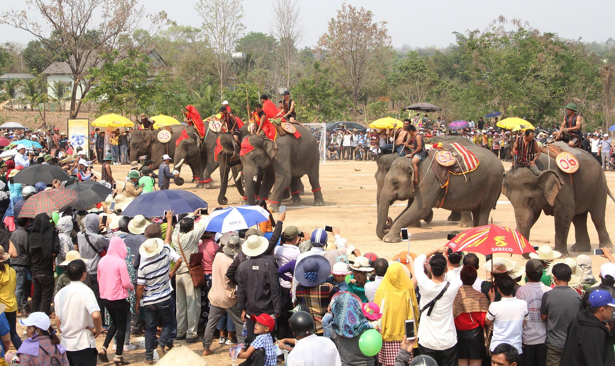 Hội đua voi ở Buôn Đôn ảnh 12 Hoi dua voi o Buon Don anh 12