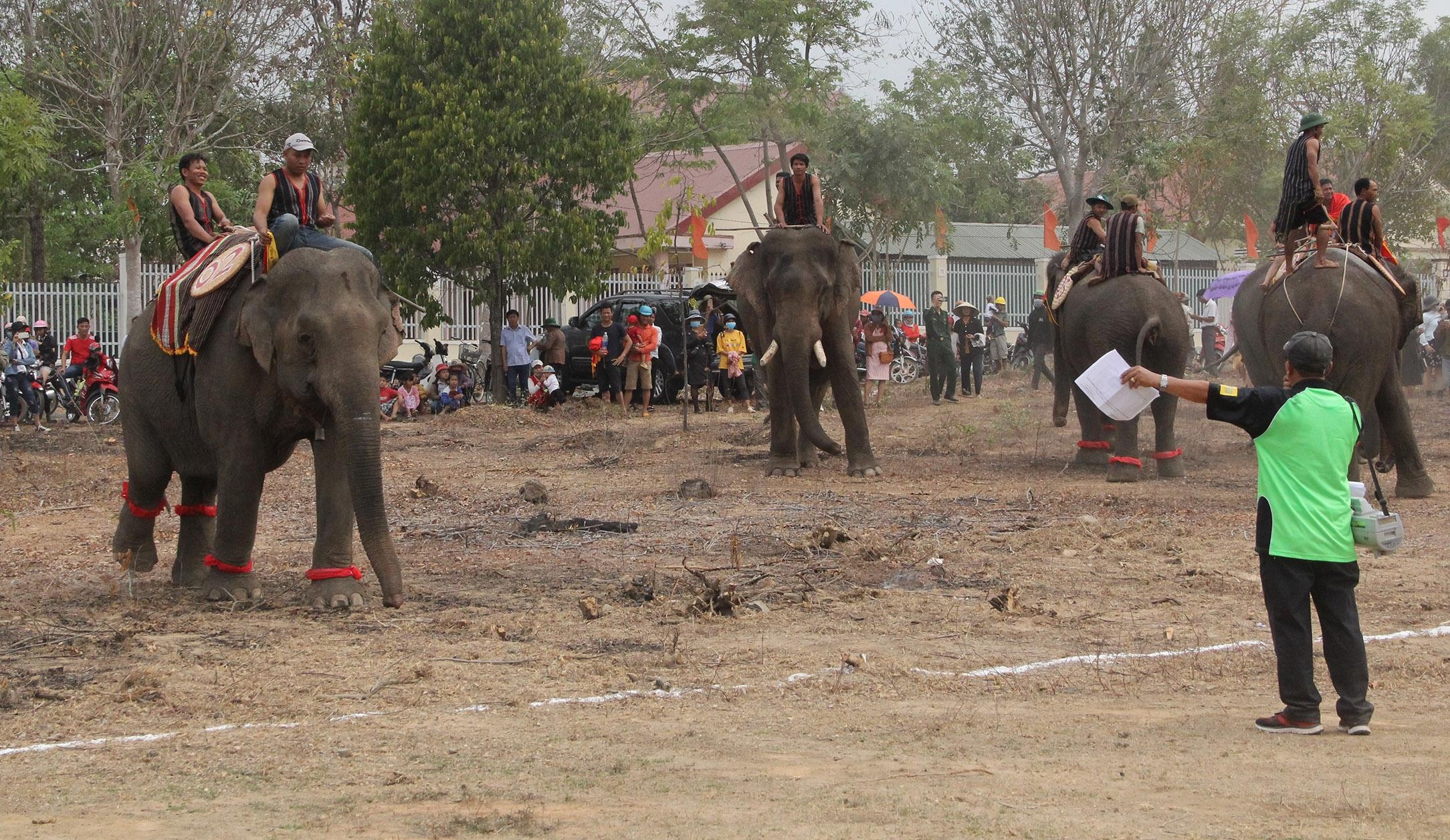Hội đua voi ở Buôn Đôn ảnh 1 Hoi dua voi o Buon Don anh 1