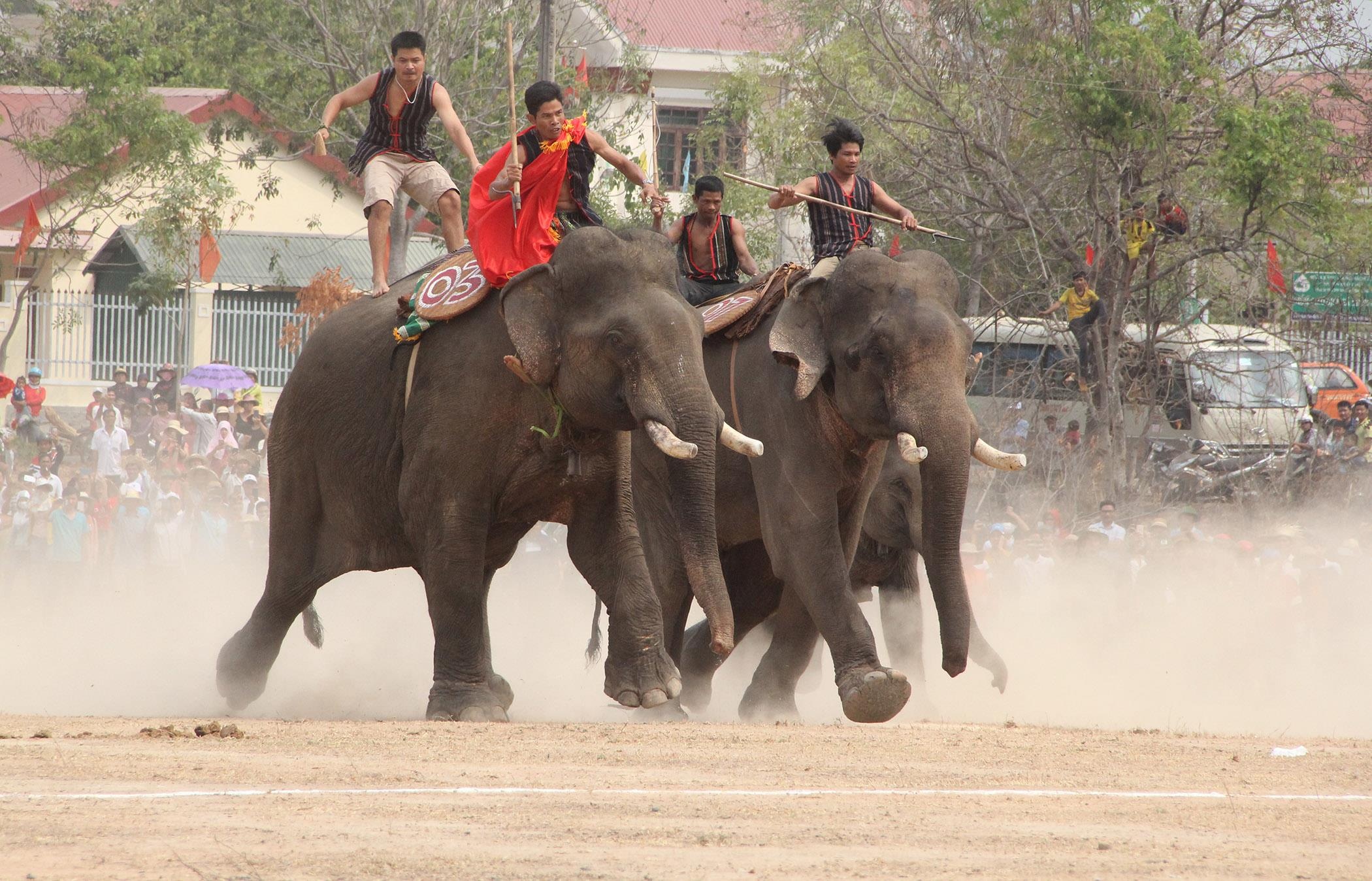 Hội đua voi ở Buôn Đôn ảnh 4 Hoi dua voi o Buon Don anh 4