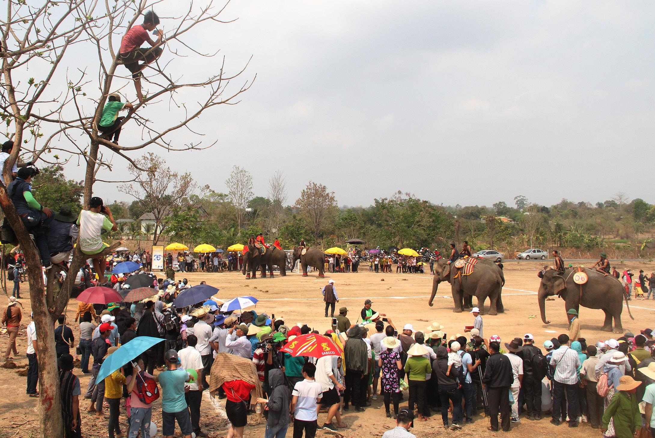 Hội đua voi ở Buôn Đôn ảnh 9 Hoi dua voi o Buon Don anh 9