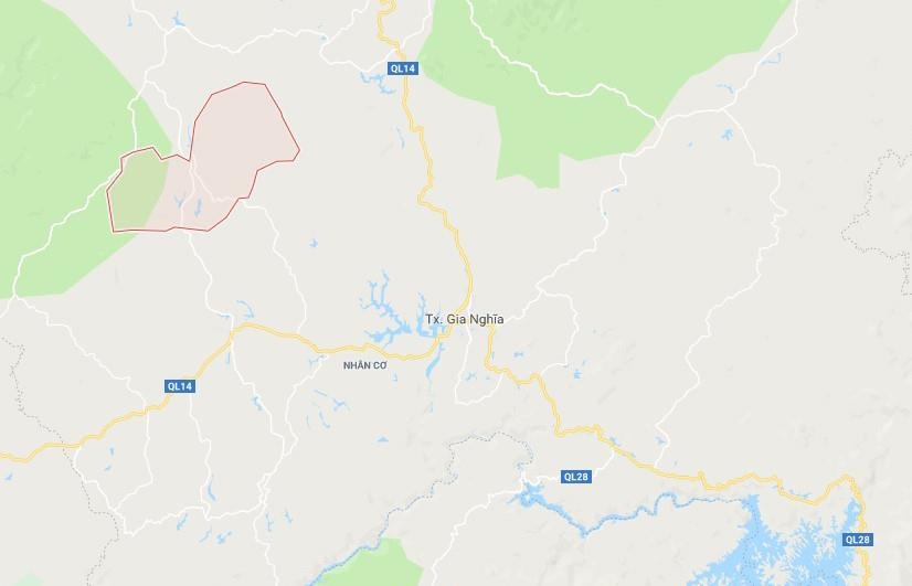 Hủy hoại rừng ảnh 3 Huy hoai rung anh 3