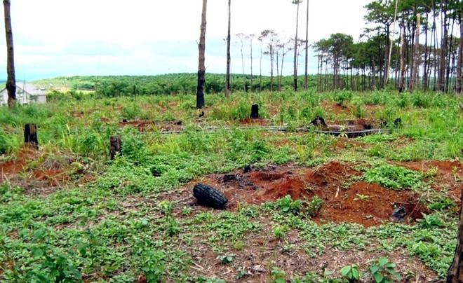 Kỷ luật ban cán sự đảng ảnh 1 Ky luat ban can su dang anh 1