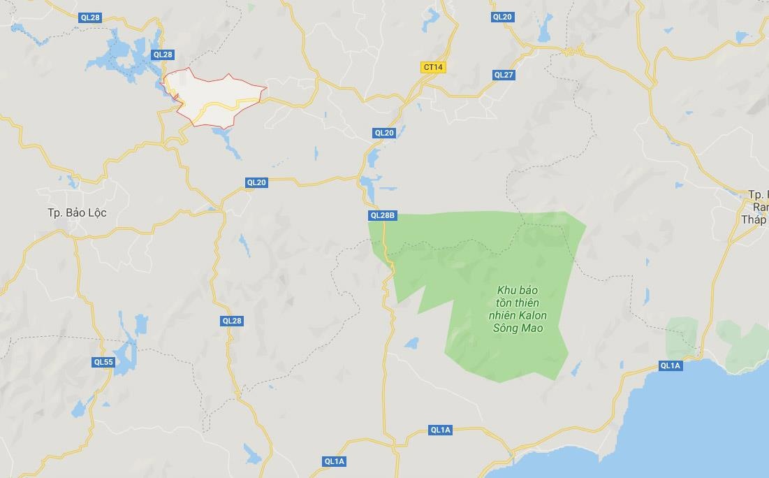 Dan phao phat no anh 2