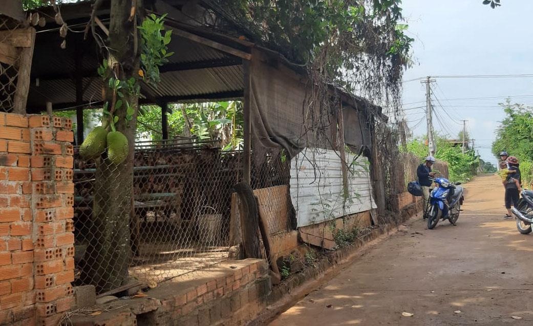 Trang trại gây ô nhiễm ảnh 1 Trang trai gay o nhiem anh 1