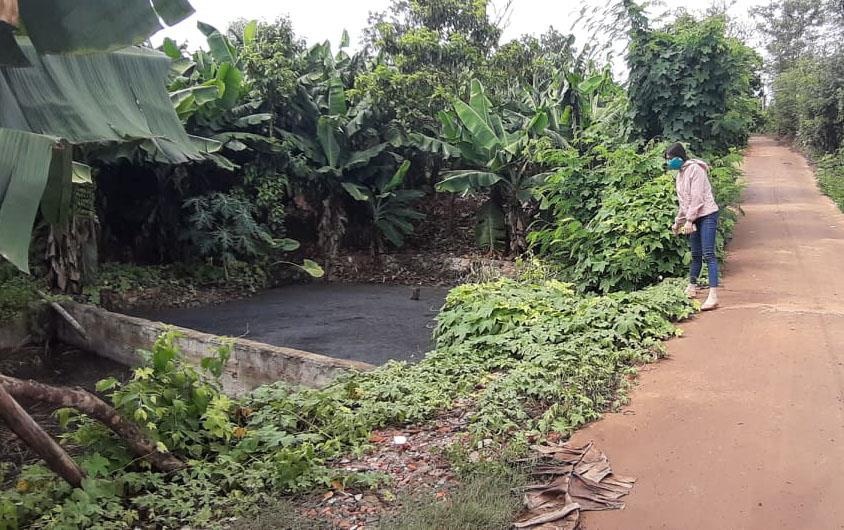 Trang trại gây ô nhiễm ảnh 2 Trang trai gay o nhiem anh 2