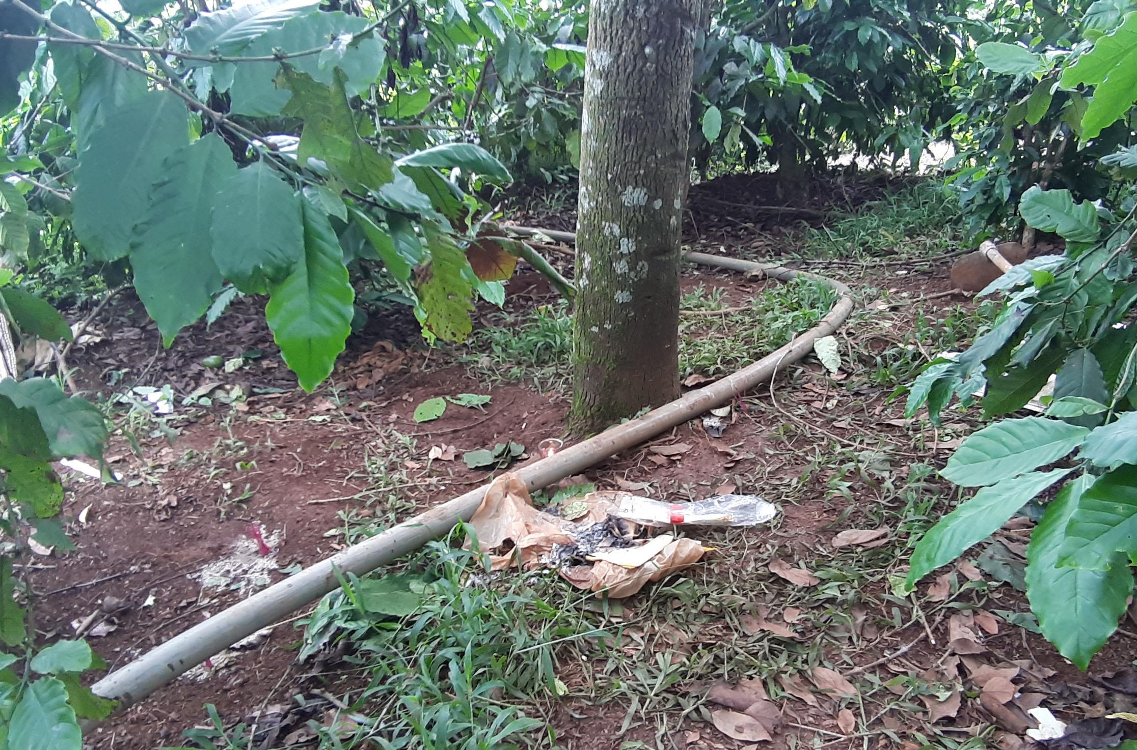 Ba bà cháu bị giết ảnh 2 Ba ba chau bi giet anh 2