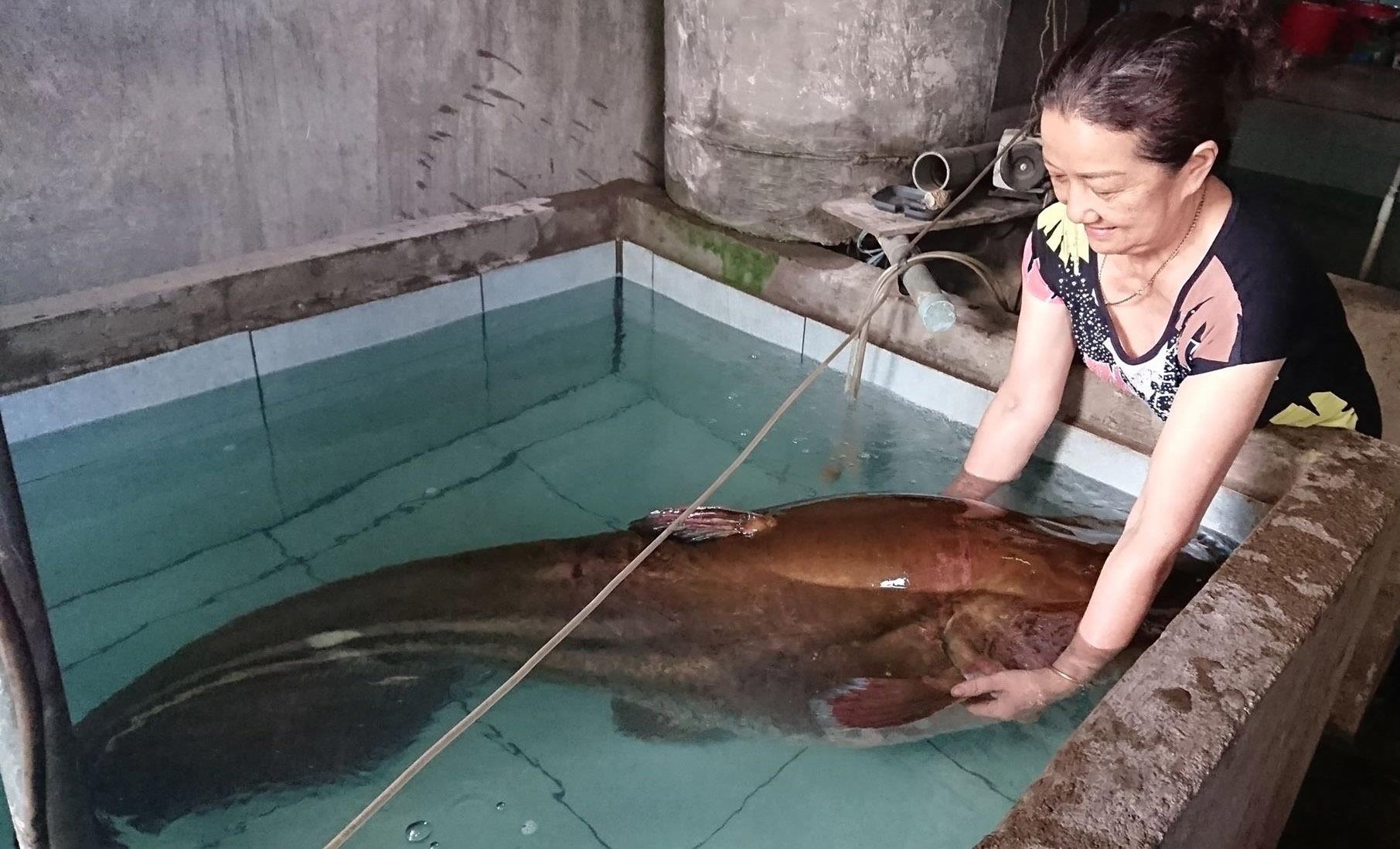 Cau duoc ca leo hon 80 kg hinh anh