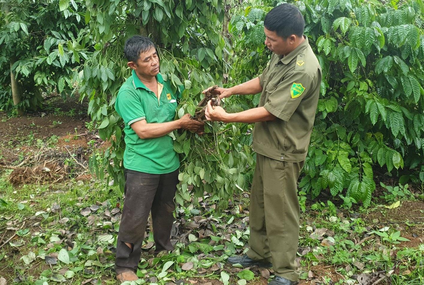 200 tru tieu bi chat goc anh 1