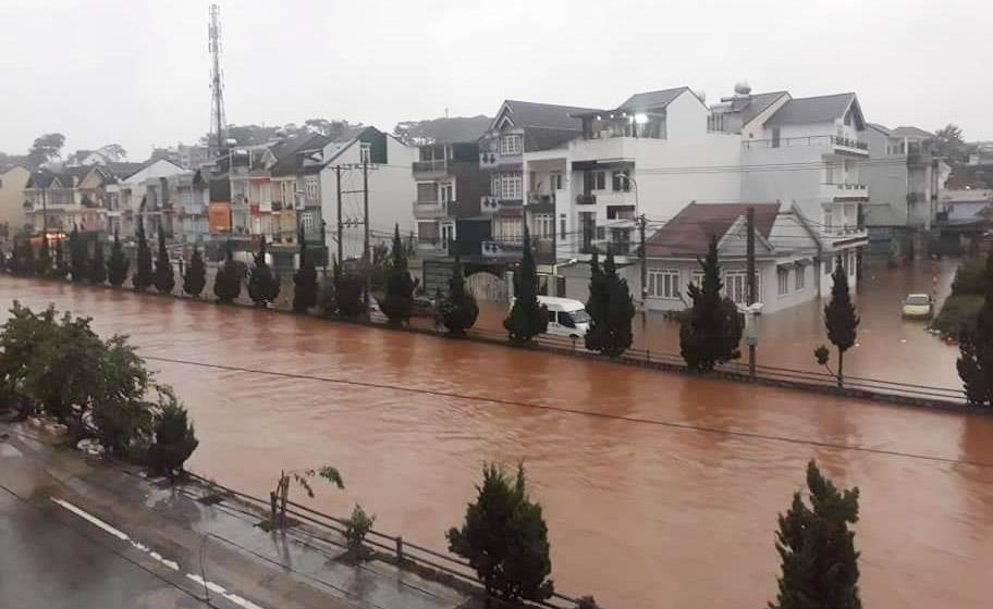 Oto chet may tren duong pho Da Lat anh 2