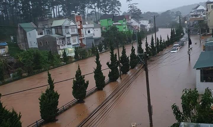 Da Lat chim trong bien nuoc anh 1