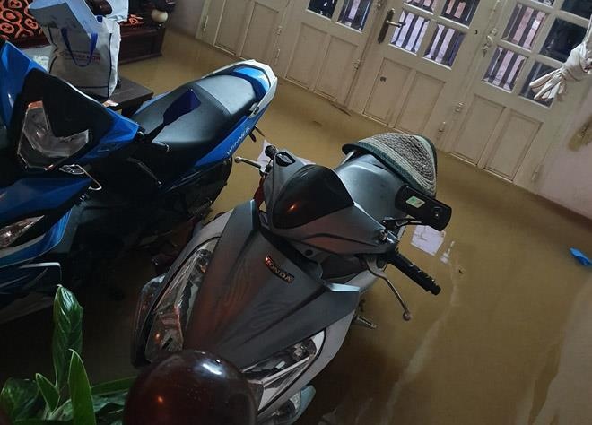 Da Lat ngap sau trong nuoc anh 5