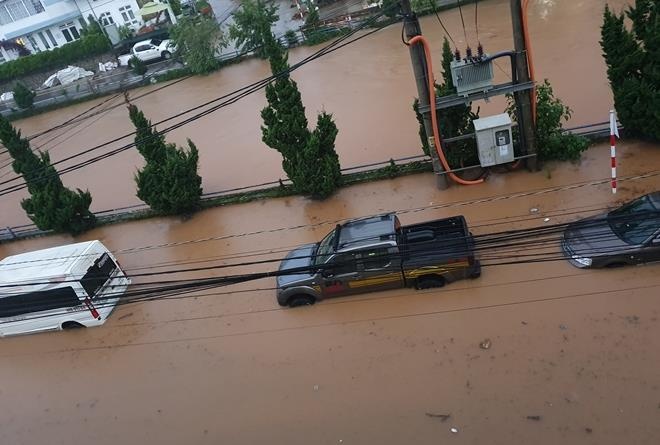 Da Lat ngap sau trong nuoc anh 3