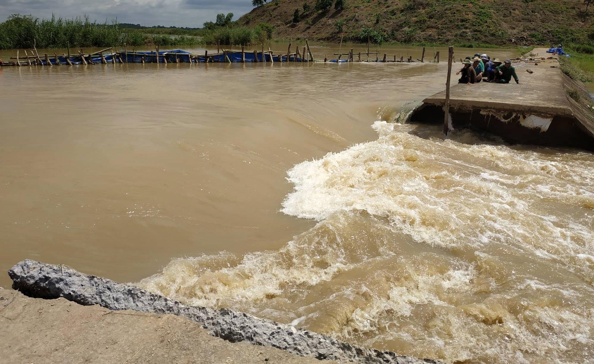 Vo de khien hon 1.000 ha lua bi ngap o Dak Lak hinh anh