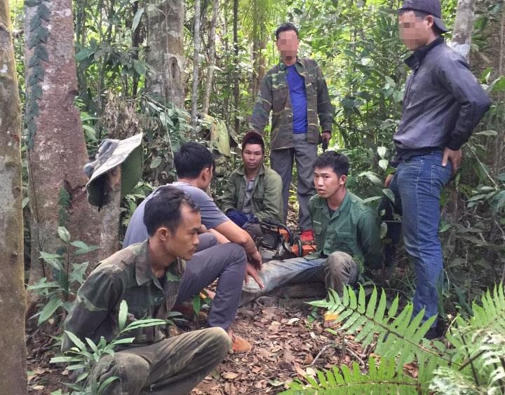 Gỗ lậu ảnh 1 Go lau anh 1