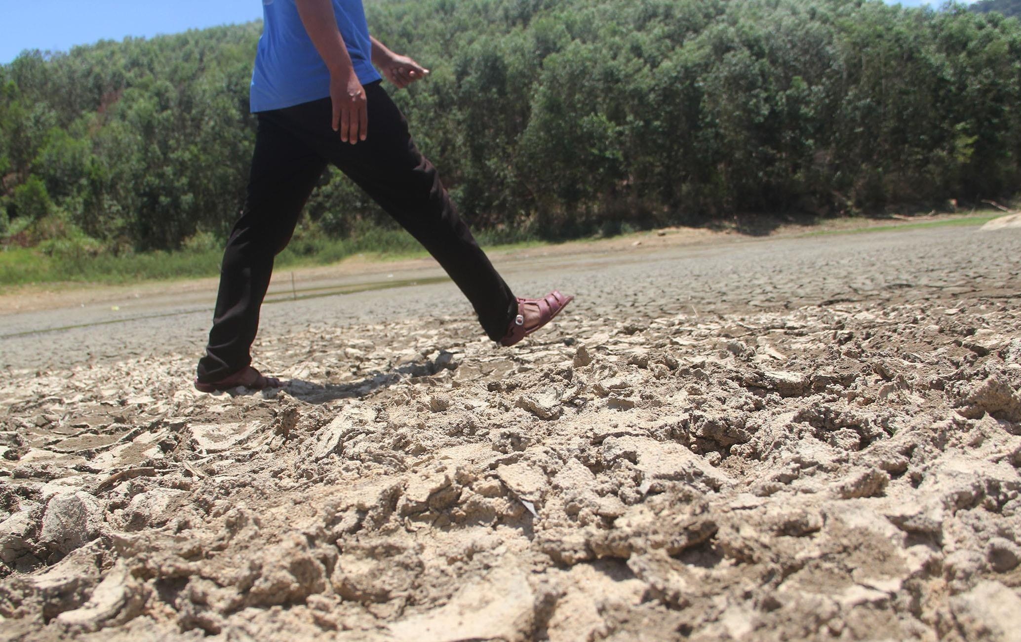 Hon 1.000 ha lua chet chay giua mua mua hinh anh