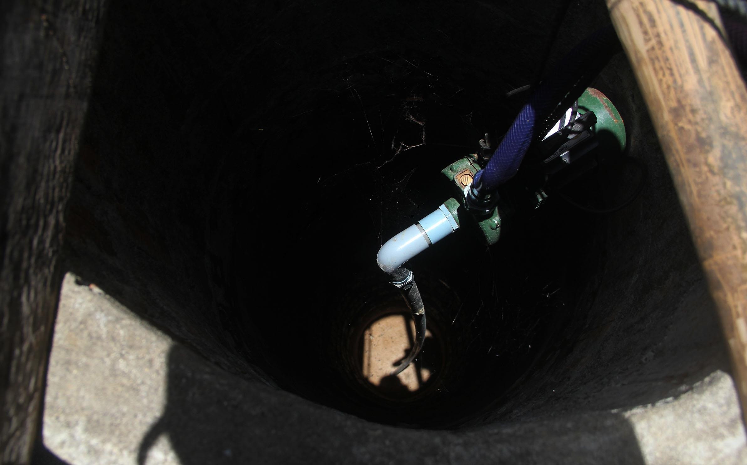 Hàng nghìn ha lúa chết khô ảnh 9 Hang nghin ha lua chet kho anh 9