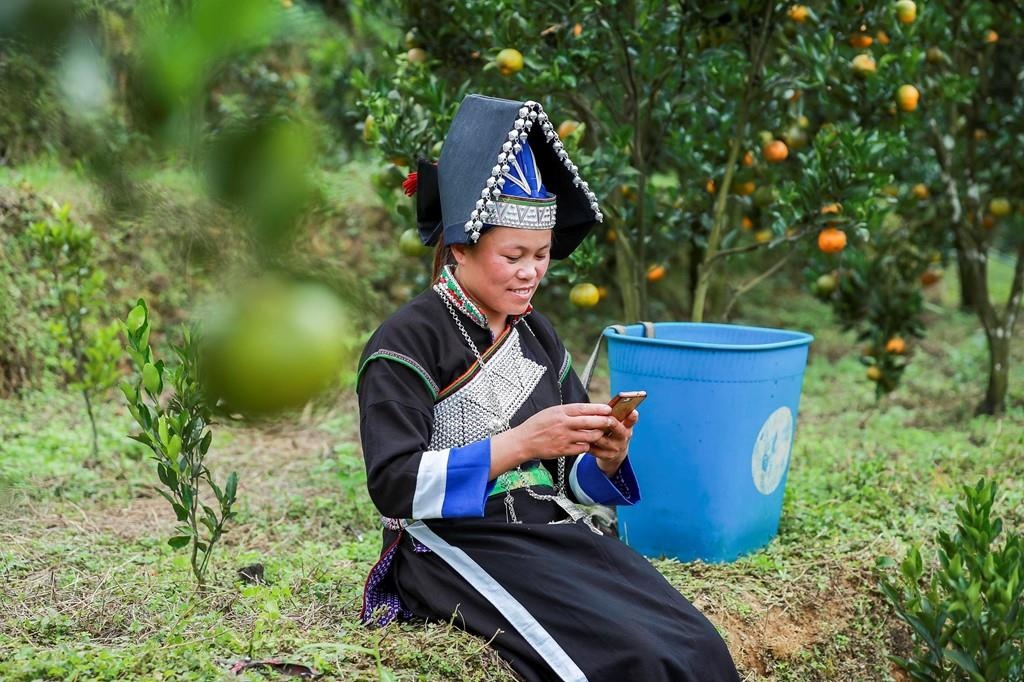 Nguoi Lao Cai se tro thanh nhung 'cong dan dien tu' hinh anh