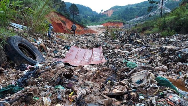 Bai rac Cam Ly tran xuong duoi anh 1