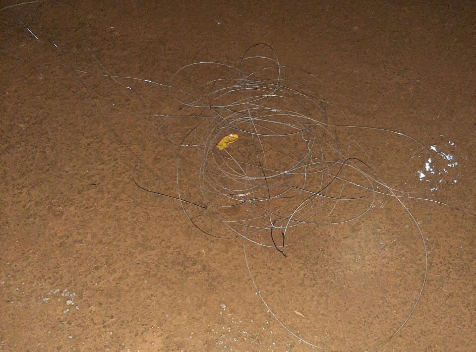 Hai học sinh bị điện giật tử vong ảnh 1 Hai hoc sinh bi dien giat tu vong anh 1