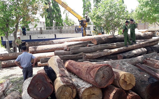 Đường dây buôn gỗ lậu của Phượng râu ảnh 2 Duong day buon go lau cua Phuong rau anh 2