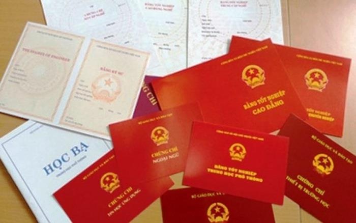 Nu pho phong Tinh uy Dak Lak chua hoc het cap 3? hinh anh